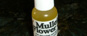How to Make Mullein Oil for Earaches