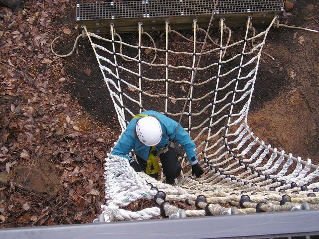 Rope Web Ladder