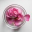 Make Rosewater for Cooking