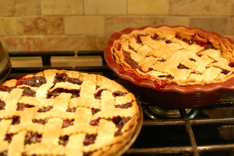 Sour Cream Blueberry Pie