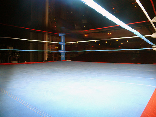 a Backyard Wrestling Ring