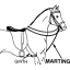 A Horse Martingale
