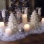 Winter Centerpiece