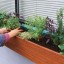 How to Make an Herb Window Box