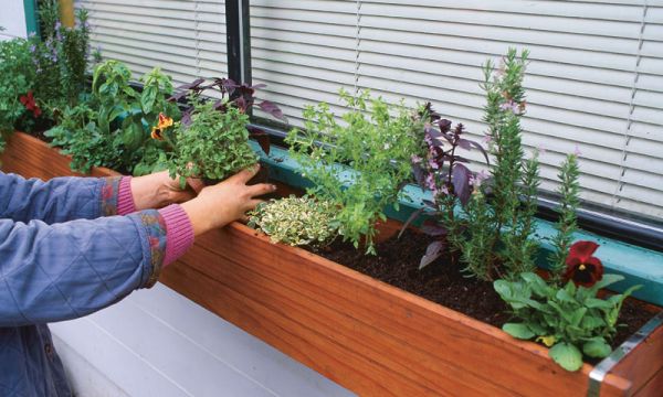 How to Make an Herb Window Box