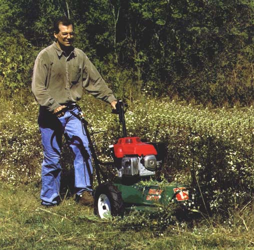 Mowing a Lawn