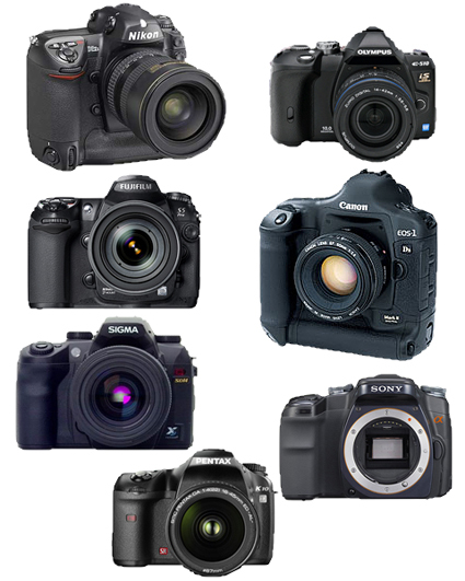 DSLR Cameras