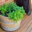 Wine Barrel Herb Gardens