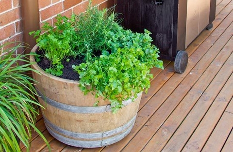 Wine Barrel Herb Gardens