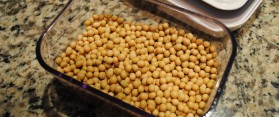 Dried Soy Beans