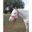 Tips about How to Put on a Rope Halter