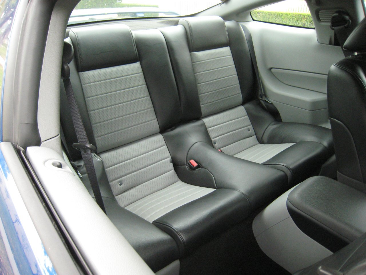 Mustang Back Seat