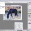 Resize an Image in Adobe Photoshop