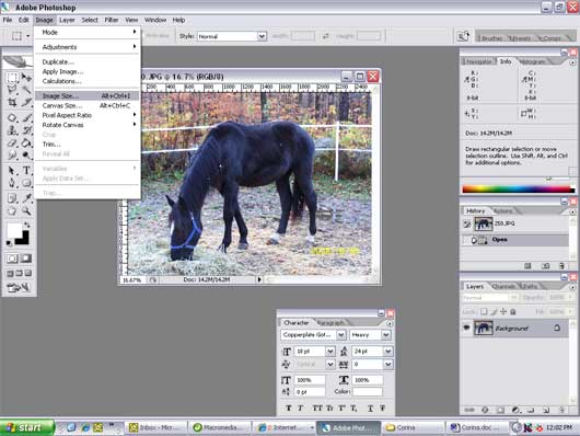 Resize an Image in Adobe Photoshop