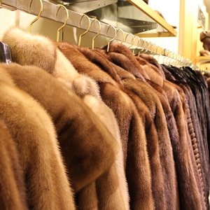 Store a Mink Coat At Home