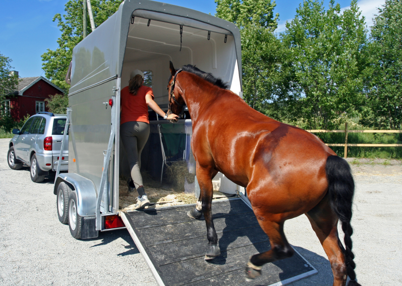 train your horse to go into a horse trailer
