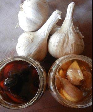 Garlic and Honey