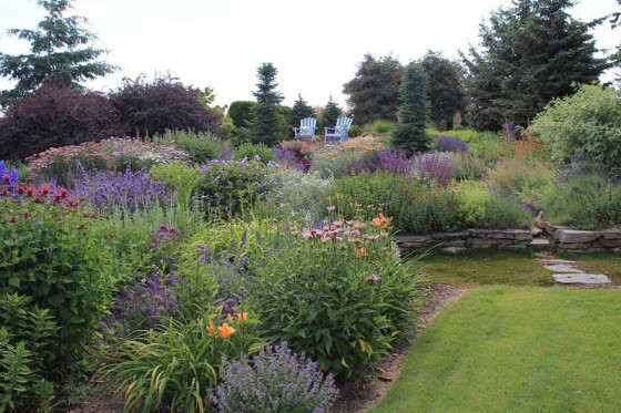 Use Herbs as Ground Cover at Home