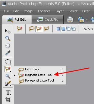 Use Lasso Tool in Photoshop Elements
