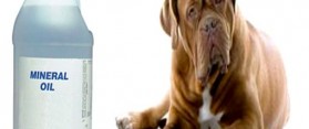 Mineral Oil to Treat Constipation in Dogs