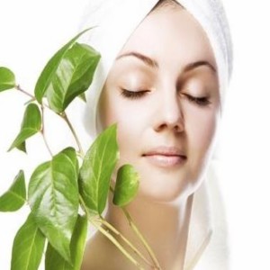 Use Mint Juice to Treat Blackheads