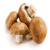Mushrooms Boost Immune System