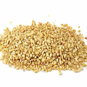 Barley and Its Benefits