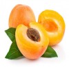 Apricots Delicious Fruits in the World