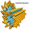 Centriole
