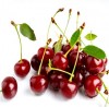 Cherries Delicious Fruits in the World