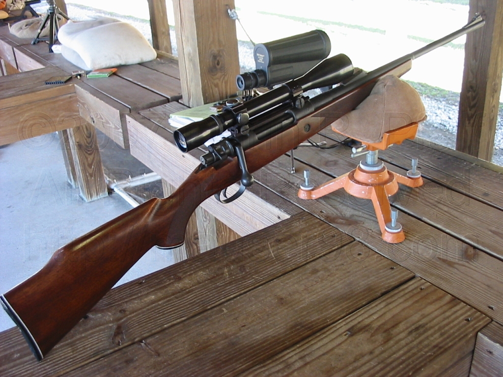 Difference Between Carbine and Rifle