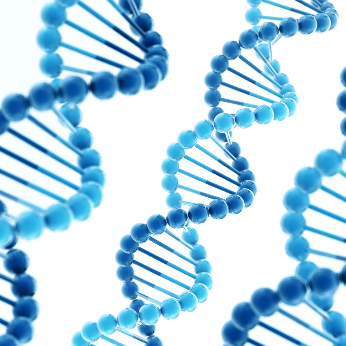 Difference Between DNA and RNA Virus Replication