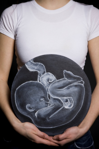 Difference Between Embryo and Fetus