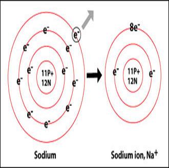 Difference Between Sodium Atom and Sodium Ion