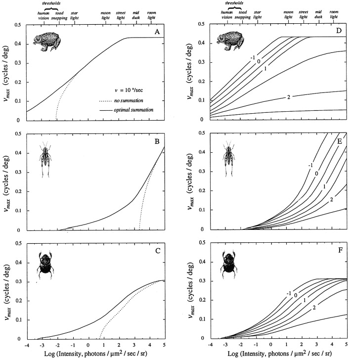 Difference Between Spatial and Temporal Summation