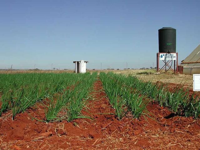 Difference Between Subsistence and Commercial Farming