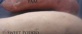 Know the Difference Between White and Orange Sweet Potato