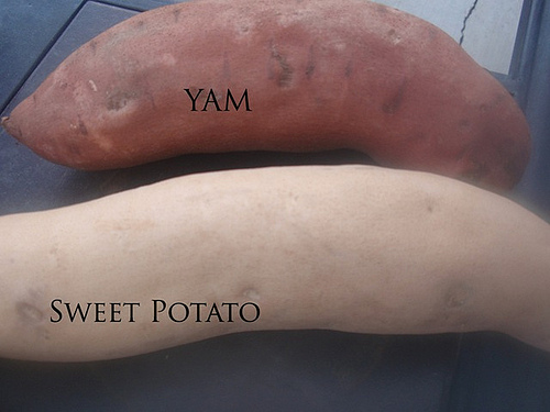 Know the Difference Between White and Orange Sweet Potato