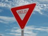Yield