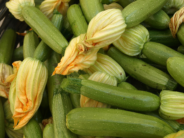 Zucchini and Courgette