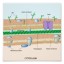 Difference between Cell Wall and Plasma Membrane