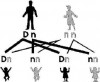 Difference between Dominant and Recessive Alleles