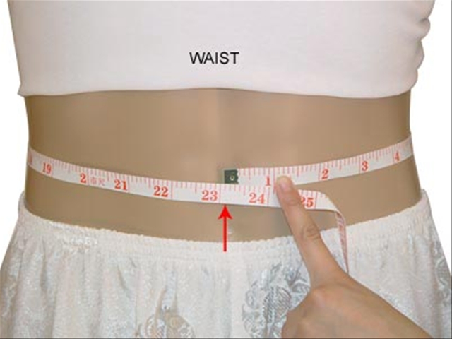 Difference between Hip and Waist