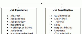 Job Analysis and Job Description