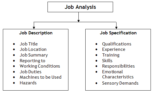 Job Analysis and Job Description