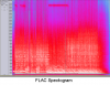 FLAC Spectogram