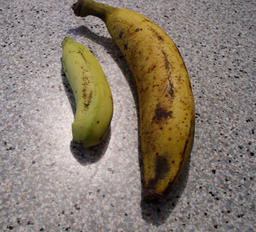 Plantain and Banana