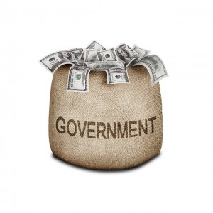 Government Grant