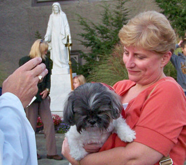 Attend and Hold a Pet Blessing