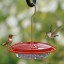 Clean a Hummingbird Feeder